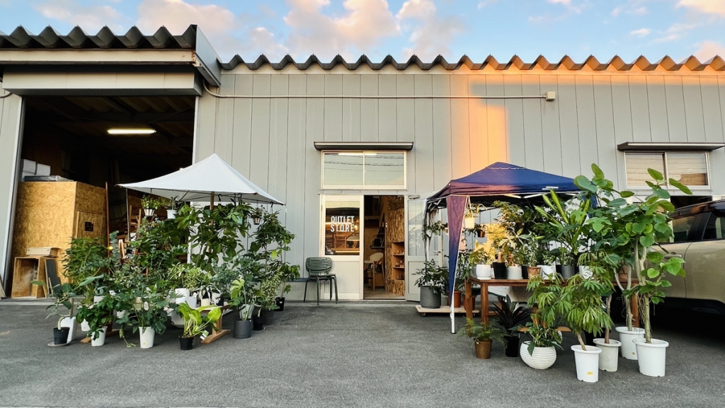 明日よりグリーン&小家具モリモリ【OUTLET  STORE】